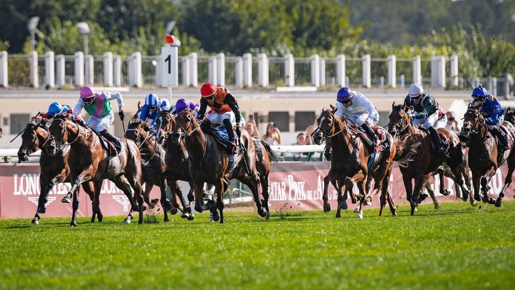 Reaction from connections of the beaten horses in the 2023 Prix de l'Arc de Triomphe