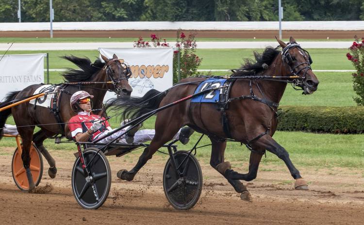 Red Mile cancels after four; Selfie Queen prevails