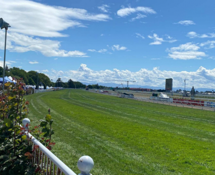 Riccarton Races abandoned over track condition