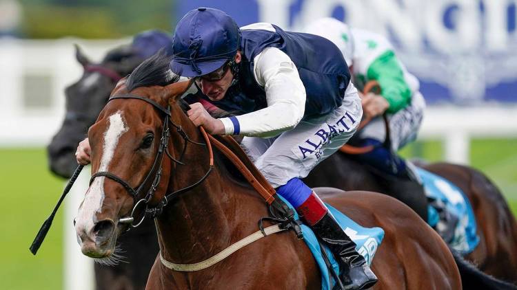 Rohaan heading back to Ascot for QIPCO British Champions Day