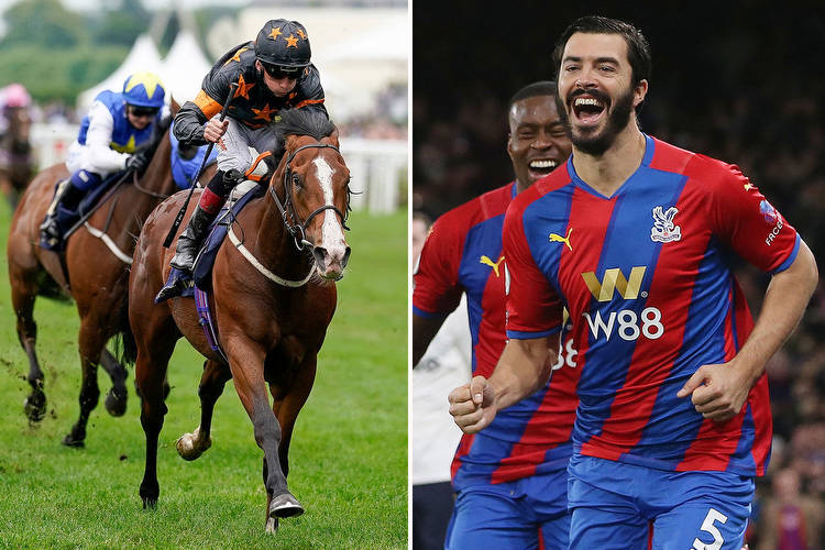 Rohaan hits the back of the net for James Tomkins as Crystal Palace defender's horse wins at Royal Ascot