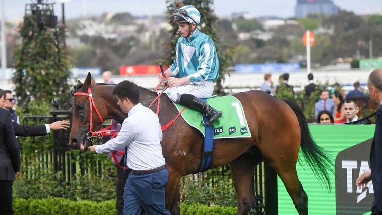 Romantic Warrior ‘is the biggest false favourite in Cox Plate history'