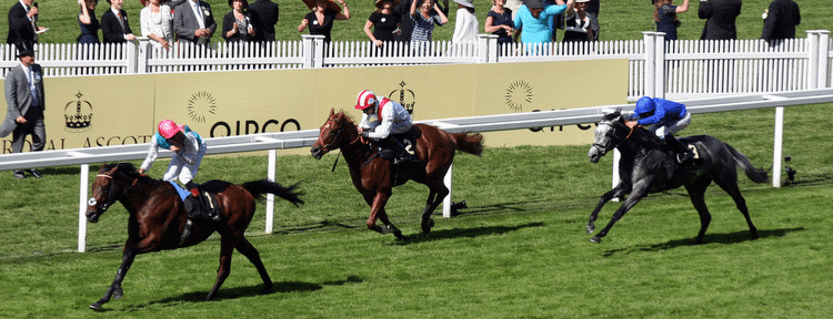 Roving Reports: Royal Ascot geegeez.co.uk