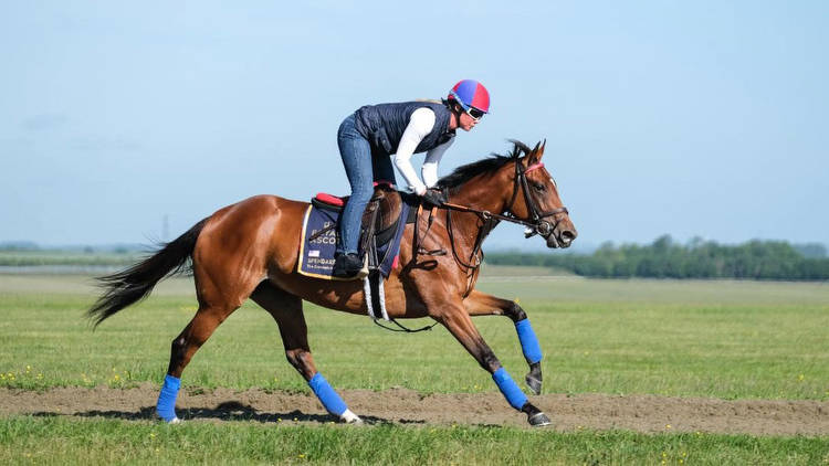 Royal Ascot international challengers including Spendarella, Pizza Bianca and Shahryar