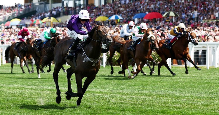 Royal Ascot punters 'fed up' after watching 150/1 shot cause massive upset to win