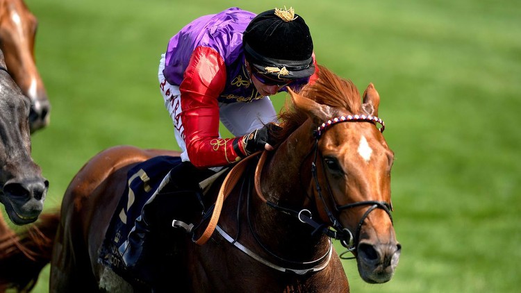Royal winner of St Leger would be huge for racing, says Willie Carson