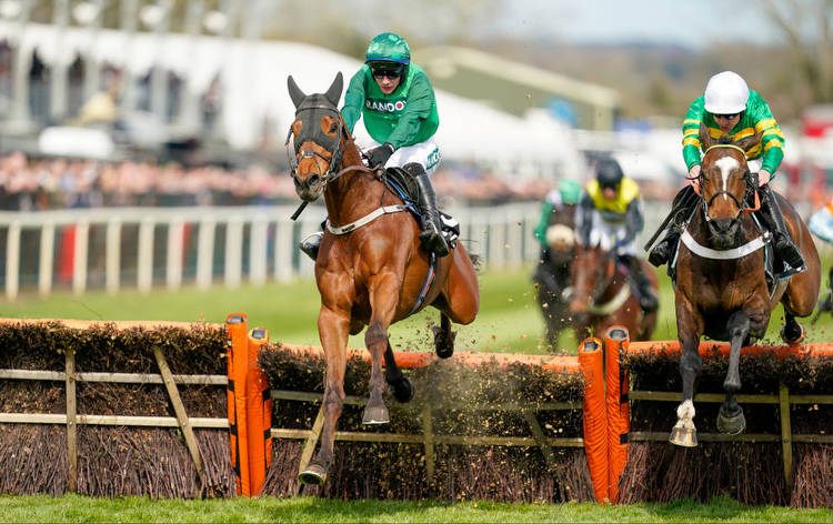 Ruby Walsh's Cheltenham Festival fancies before November meet