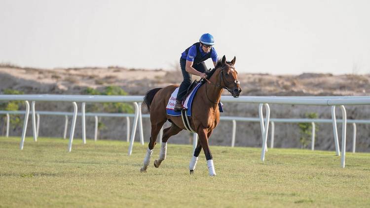 Saeed bin Suroor saddles one two in the Bahrain International Trophy