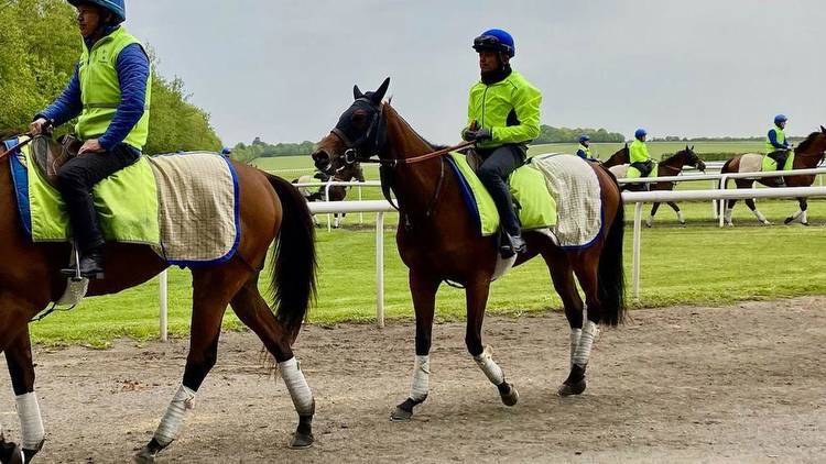 Saeed bin Suroor says Mawj in fine form for fascinating rematch with Tahiyra in Coronation Stakes