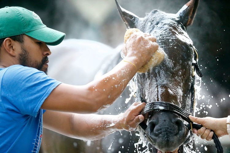 SARATOGA 2023: Sam Hollingsworth’s picks for Saturday, July 22