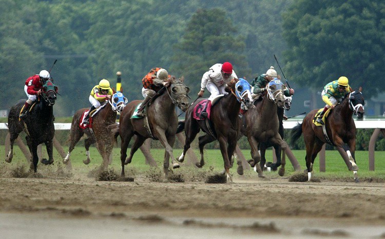 Saratoga horse racing: Andrew Champagne picks July 14 2023