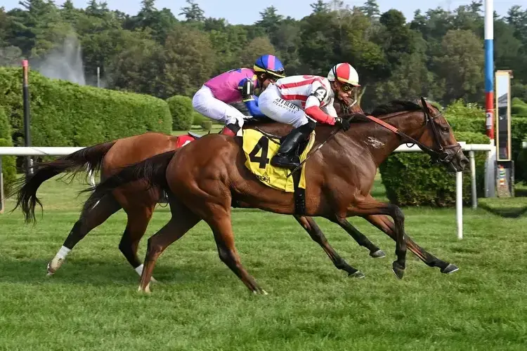 - Saratoga Race Course: McKulick catches War Like Goddess to win Glens Falls