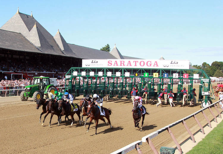 Saratoga Race Course: 'Whitney Week' Friday Pick For Race 8