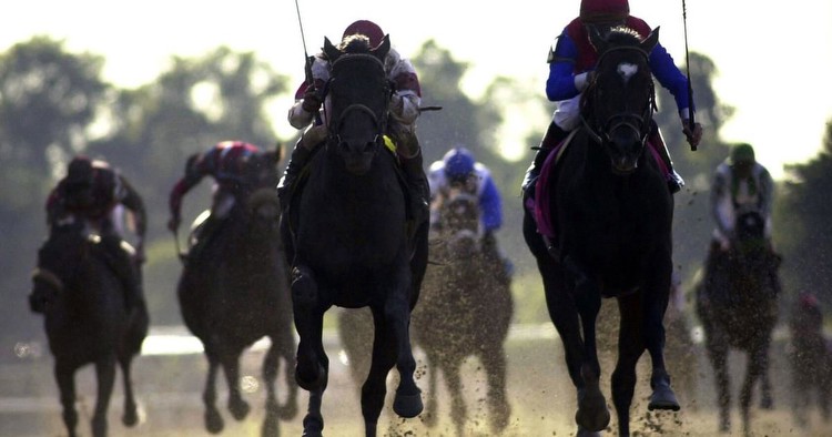 Sarava, upset winner of the 2002 Belmont Stakes at 70-1 odds, dies at age 24