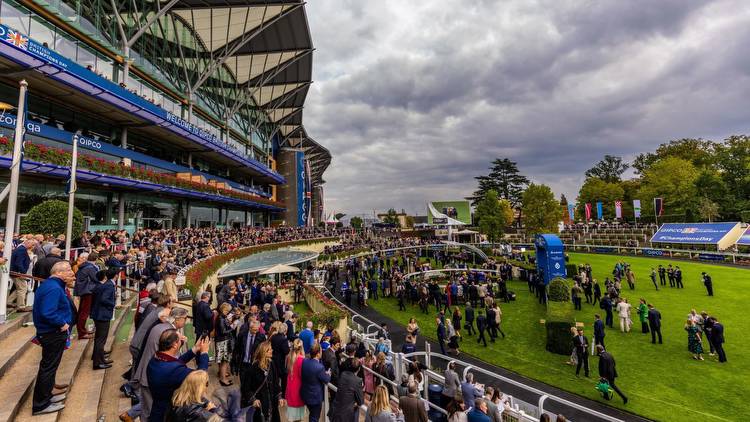 Saturday ITV Racing Tips: Best bets for Ascot and York