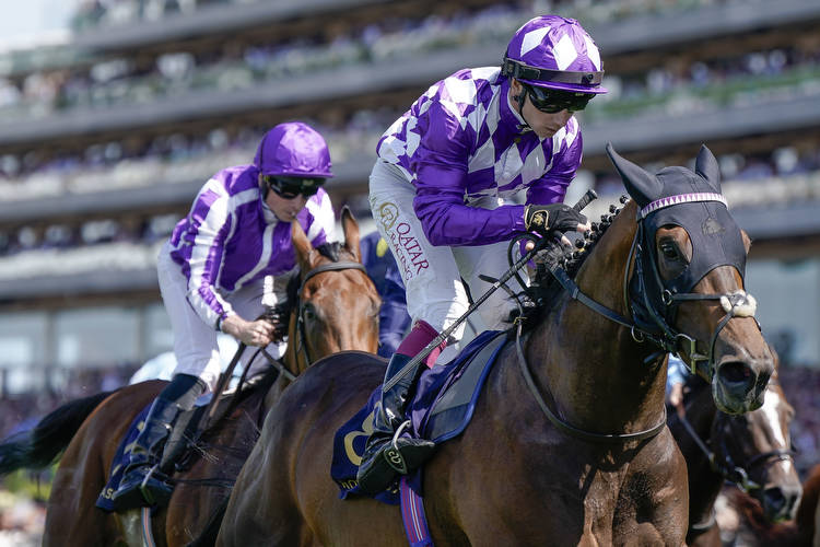 Saturday racing tips from Tom Lunn: Newmarket July Cup, Chester, York and Ascot