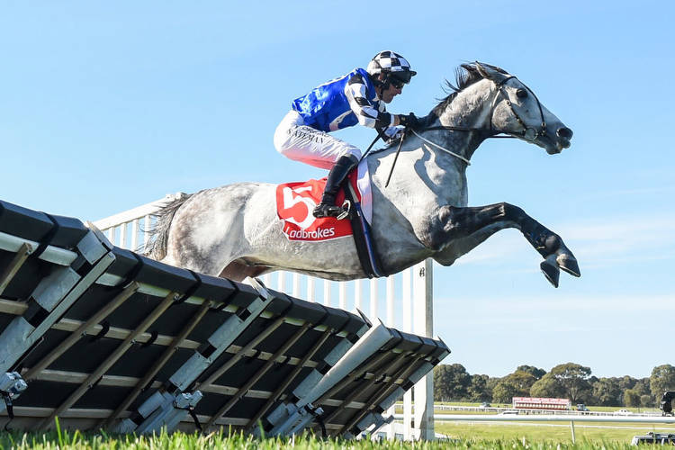 Saunter Boy lands the Grand National Hurdle