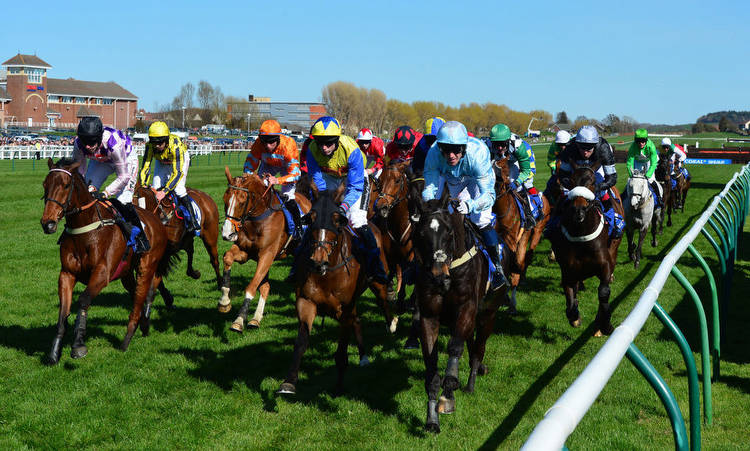 Scottish Grand National Horses 2022: Help pick your selection with our Randomiser