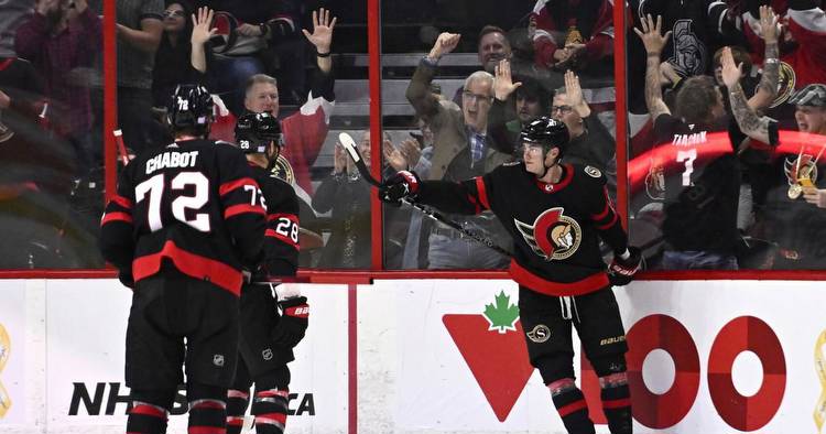 Senators are up for sale, buyer must keep team in Ottawa