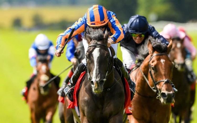 Seven runners set for Keeneland Phoenix Stakes with free admission at Curragh racecourse