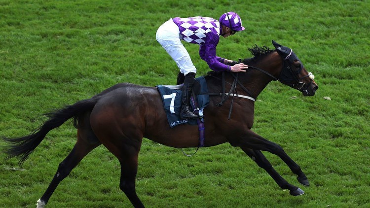 Shaquille Haydock Betfair Sprint Cup disappointment ‘in the mystery column’