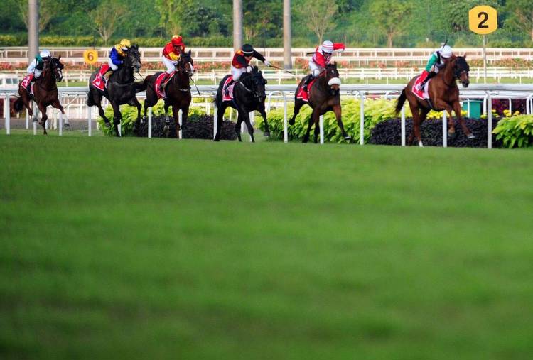 'Shattered': Singapore to end 180 years of horse racing