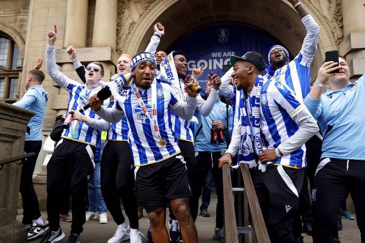Sheffield Wednesday: Star readers have their say on whether Owls can get promoted to Premier League