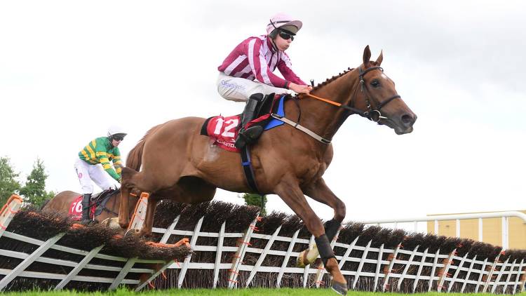 Shock 300-1 outsider Sawbuck makes history as biggest winner EVER over jumps with easy victory at Punchestown