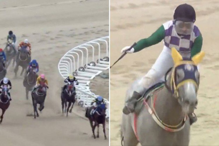 Shocked punters cry 'I've never seen a horse that fast' after freak finish to race