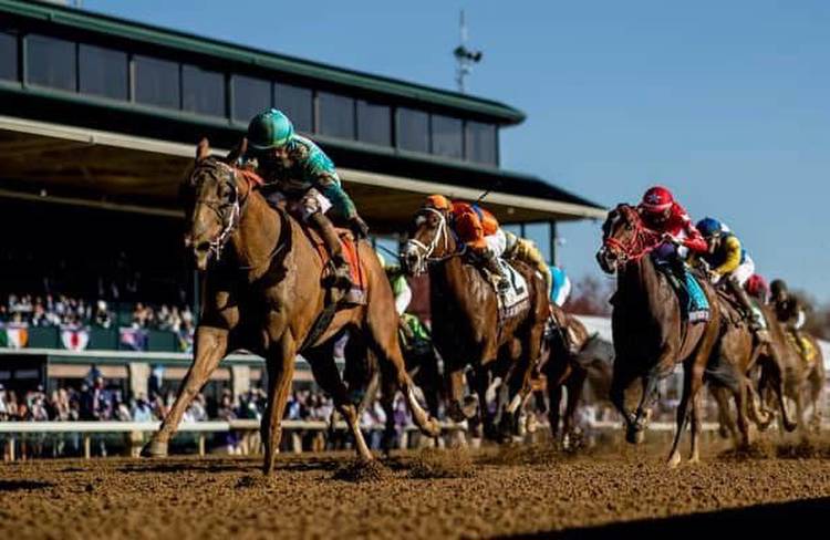 Should horses race in preps or train up to Breeders’ Cup?