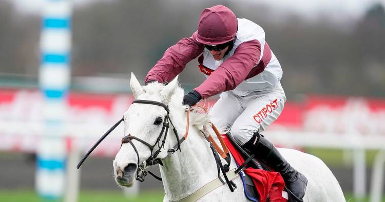 Silver Streak: Fans pay tribute to Evan Williams' popular hurdler after fatal injury