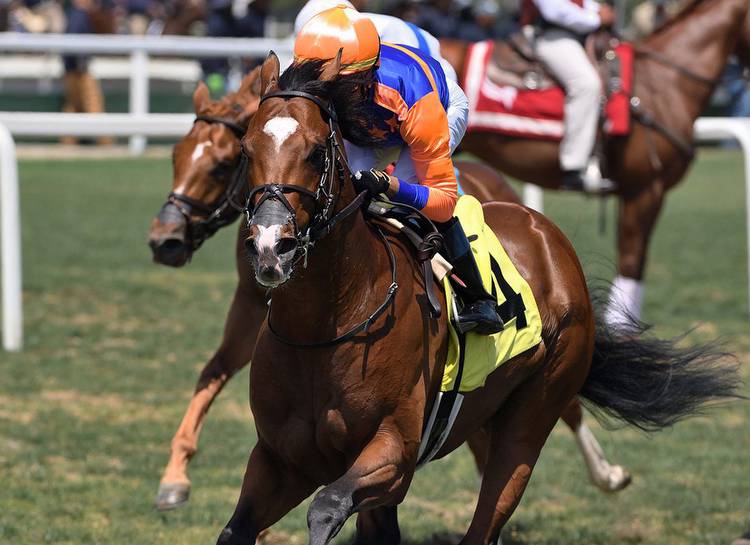 Sioux Nation Represented By First U.S. Stakes Winner in Cutler Bay