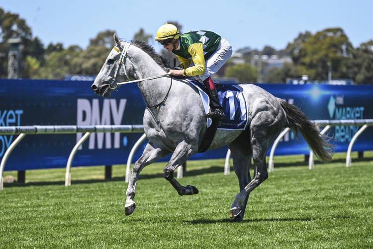 Sir Ravanelli heads odds for Country Championship qualifier