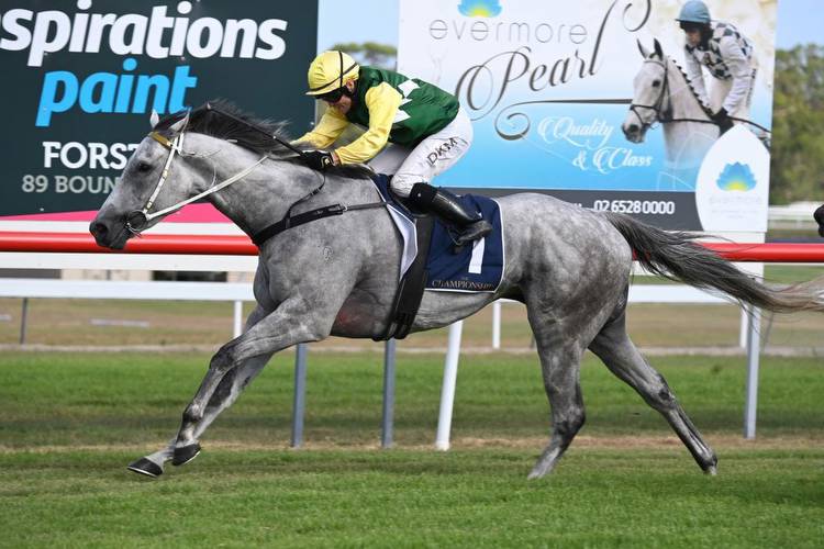 Sir Ravanelli races into the Country Championships Final