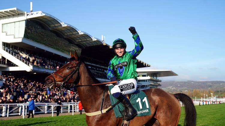 Sky Bet Chase: Go Law ready for Doncaster feature with Cheltenham Festival targets on horizon