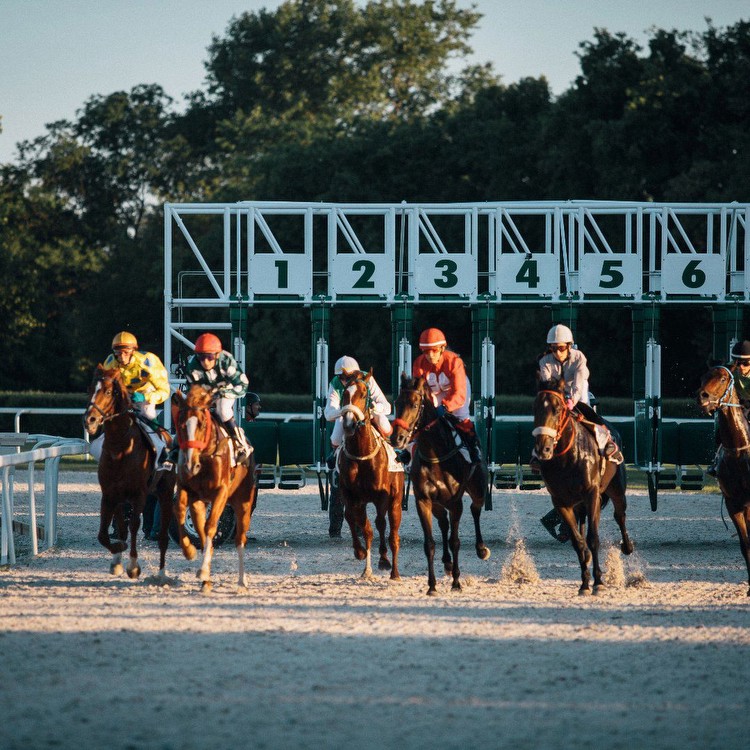 “Sky’s the Limit”: Famed Equestrian Trainer Worth $52,530,262 Goes Candid After Horse’s Magnificent Feat at Grade 3 Stakes