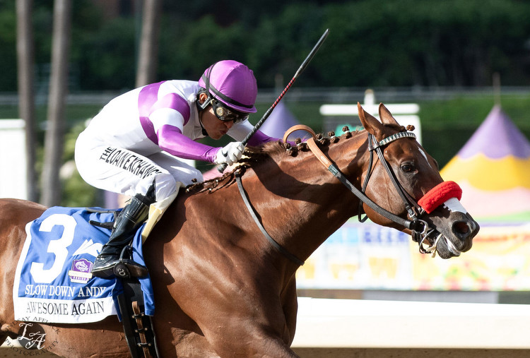 Slow Down Andy Too Fast, Wins Santa Anita Classic Prep