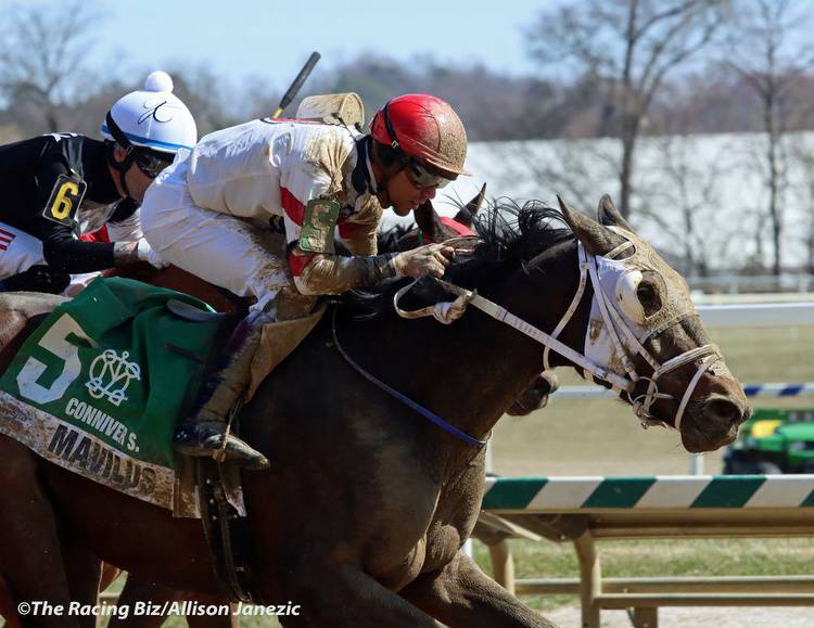 Small barns, big results on Private Terms day * The Racing Biz