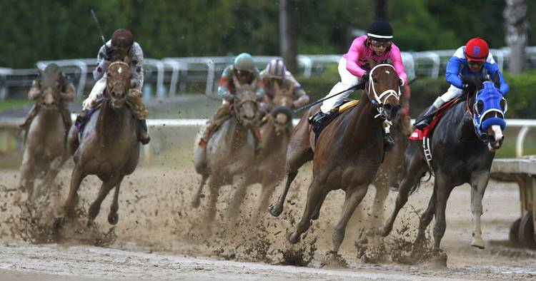 Somehow, in horse racing, the show (bet) still goes on