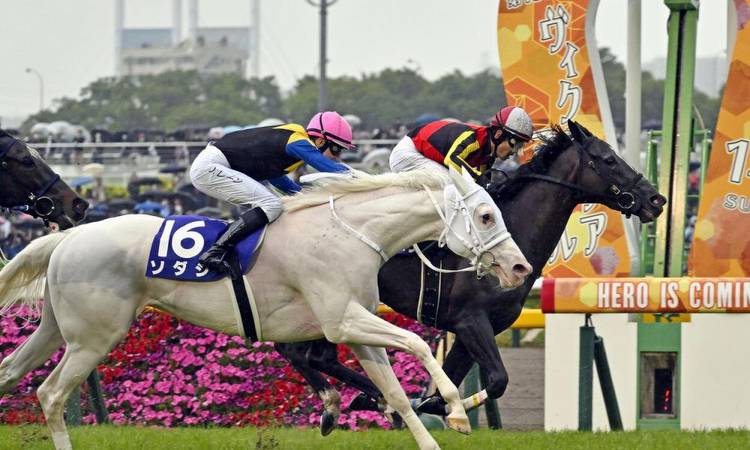 Songline Beats Sodashi by a Head in the Victoria Mile