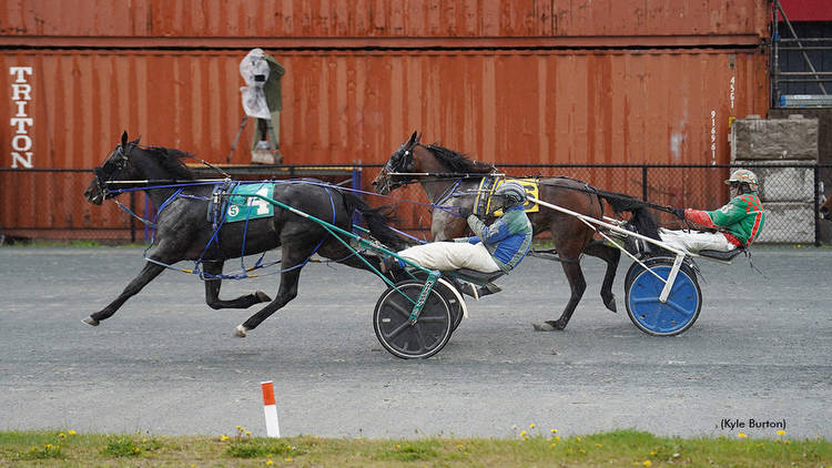 Our Girl Annie winning at Truro Raceway