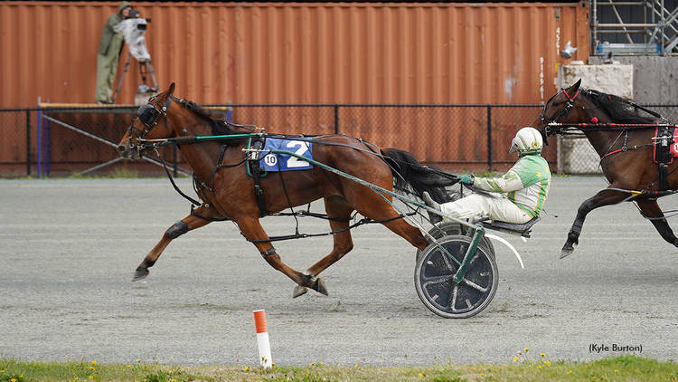 Woodmere Clara winning at Truro Raceway