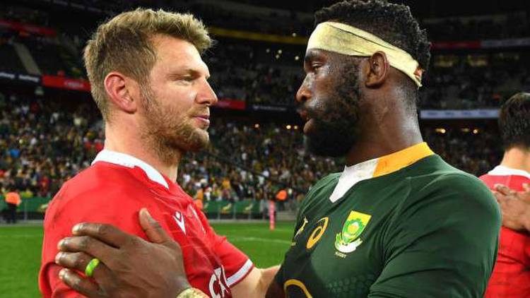 South Africa 30-14 Wales: Defeat for tourists but pride restored against Springboks