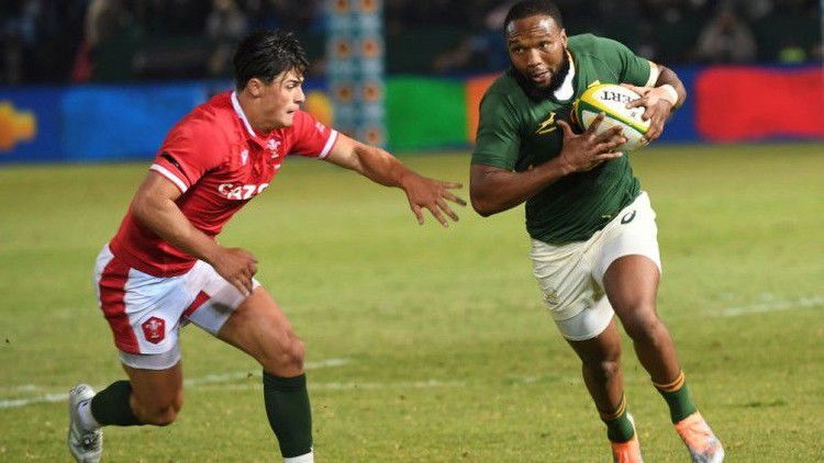 South Africa v Wales predictions and rugby union tips: Boks backlash incoming