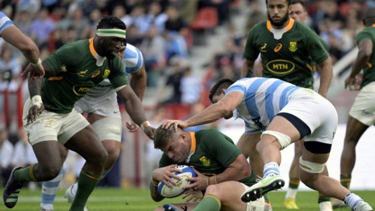 South Africa vs. Argentina Rugby Prediction, Tips & Odds