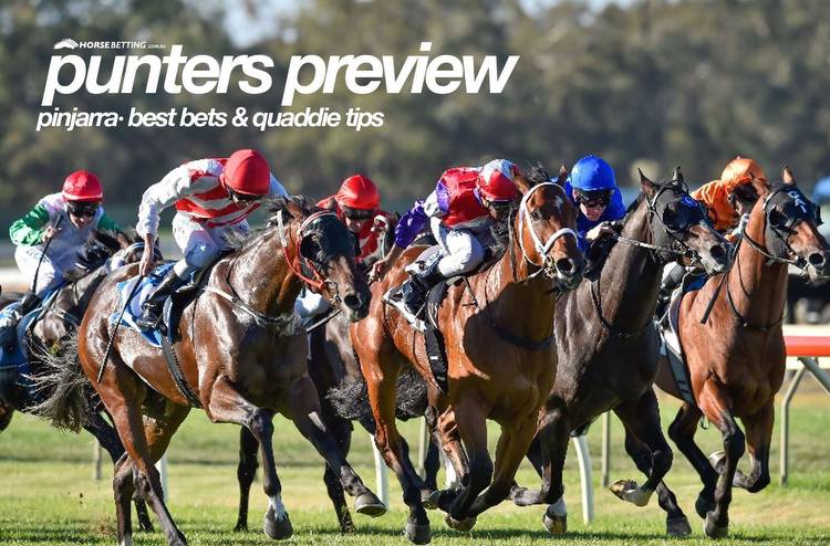 South West Autumn Cup Day Betting Preview & Quaddie