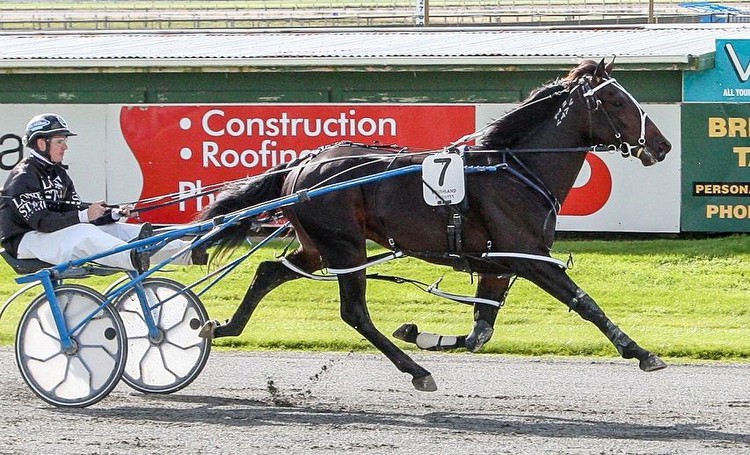 Southern Harness to get another G1 race