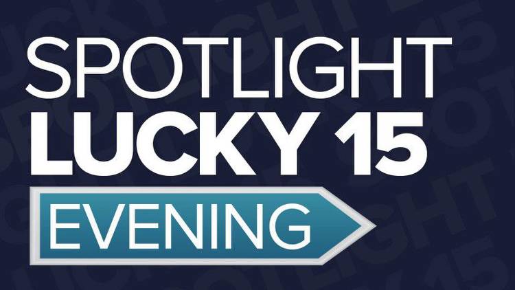 Spotlight Lucky 15 tips: four horses to back at Newcastle on Tuesday night