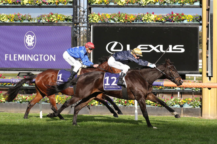 Spring Carnival assault for Rob Blacker pair