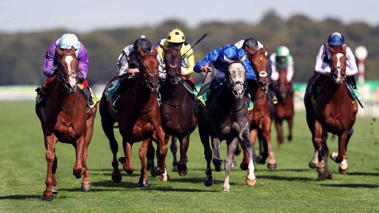 St Leger Festival Day 1 Tips: Check out Wednesday's best bets from Doncaster